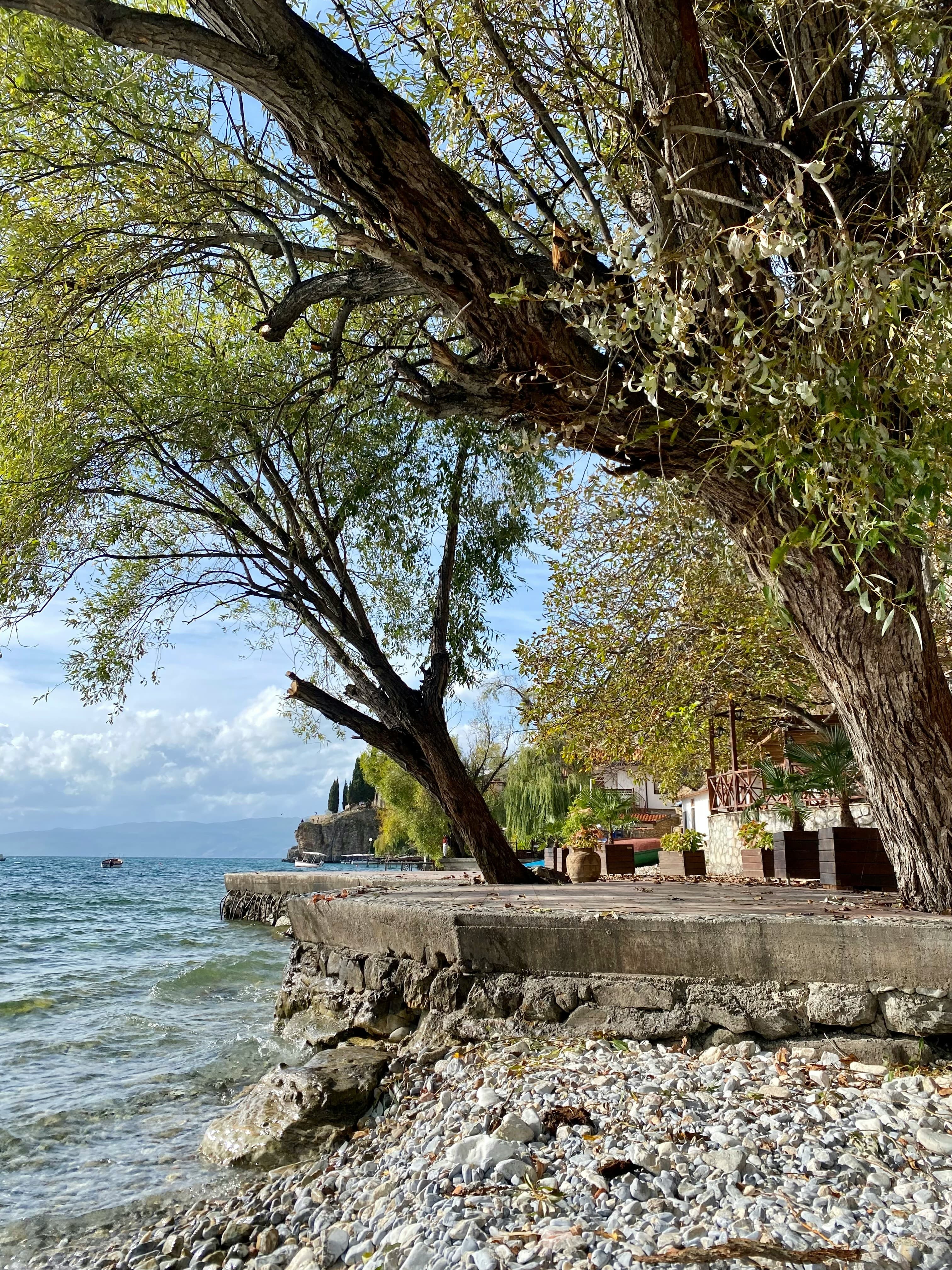 North Macedonia citizenship destination