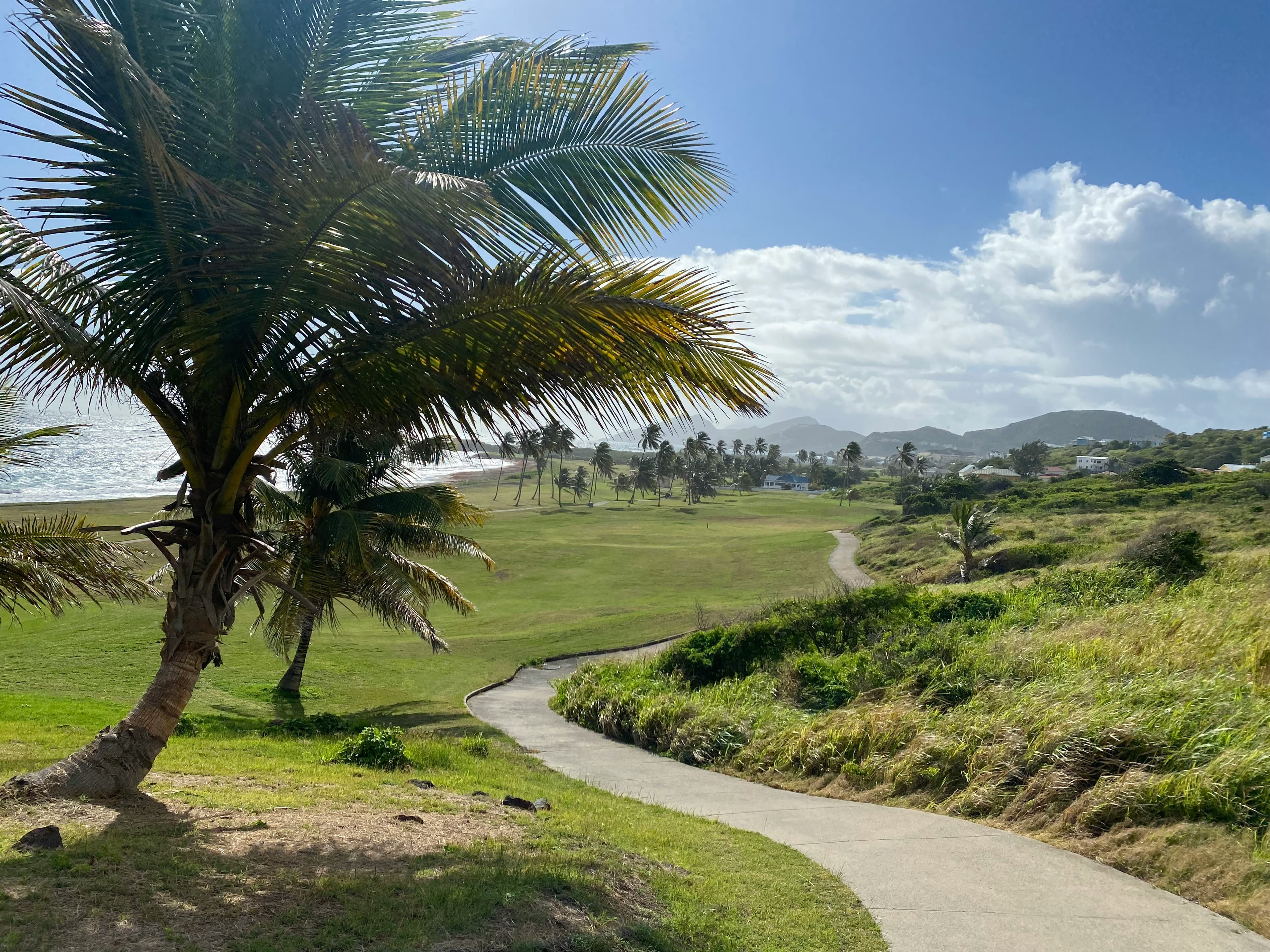 St. Kitts and Nevis citizenship destination